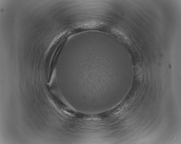 X0000068740400200605051456