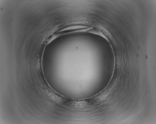 X0000068740401200605051456