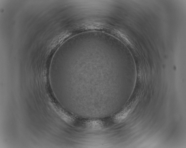 X0000068740402200605051456