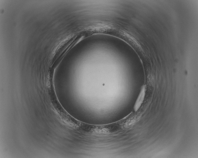 X0000068740403200605051456