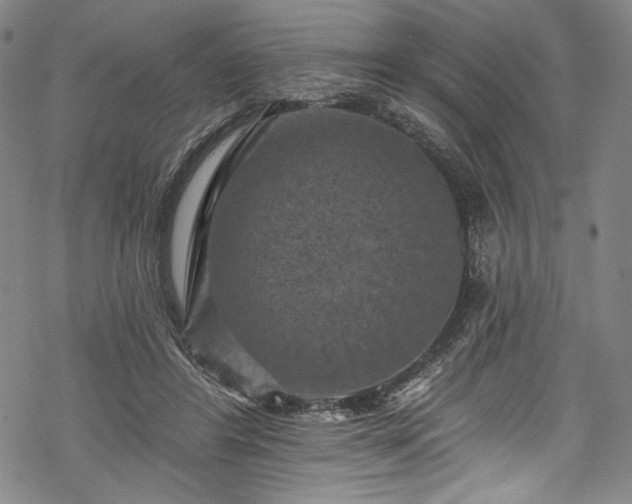 X0000068740404200605051456