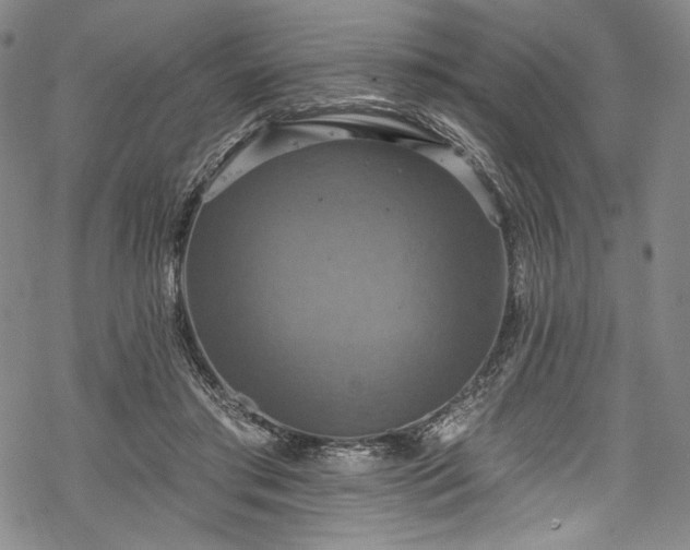 X0000068740405200605051456