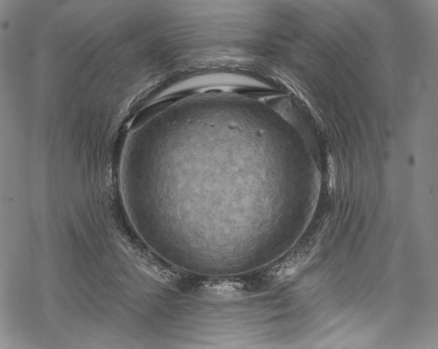 X0000068740407200605051456