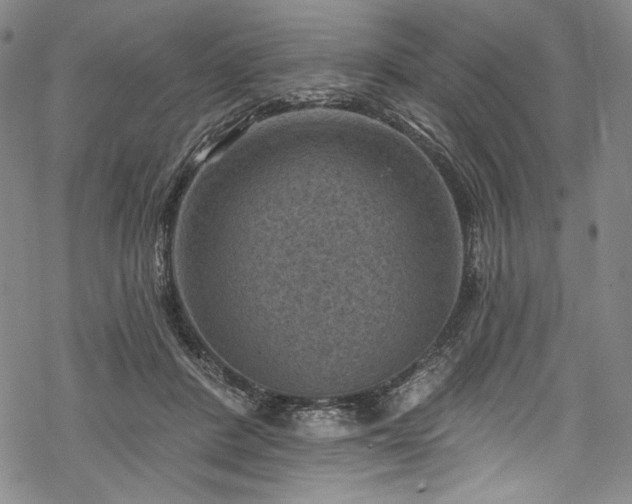 X0000068740408200605051456