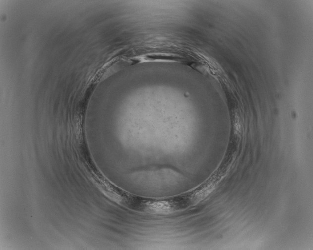 X0000068740409200605051456