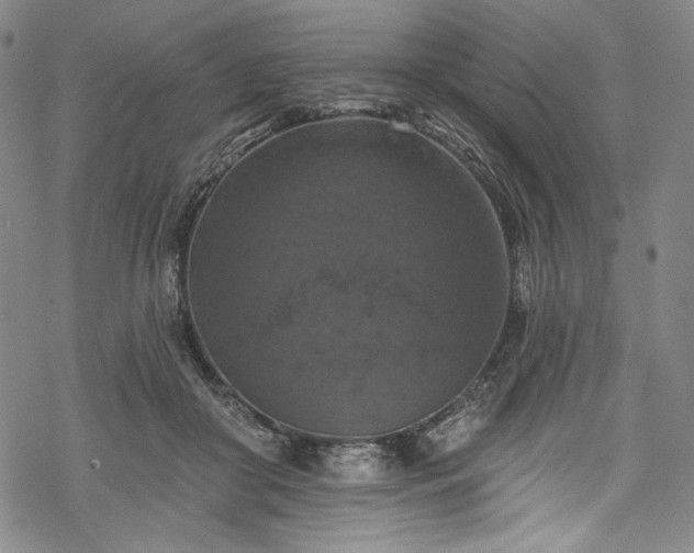 X0000068740410200605051456