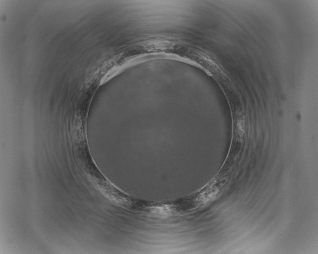 X0000068740411200605051456