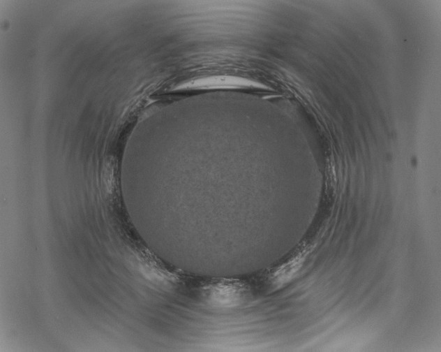 X0000068740412200605051456