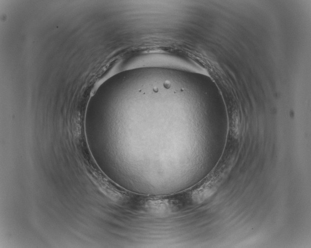 X0000068740413200605051456