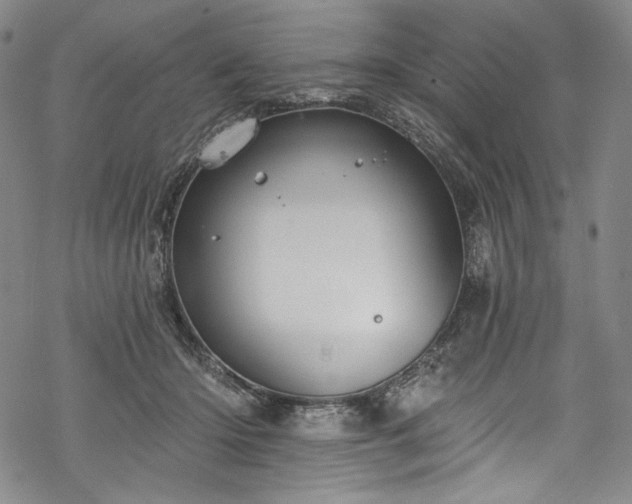 X0000068740414200605051456