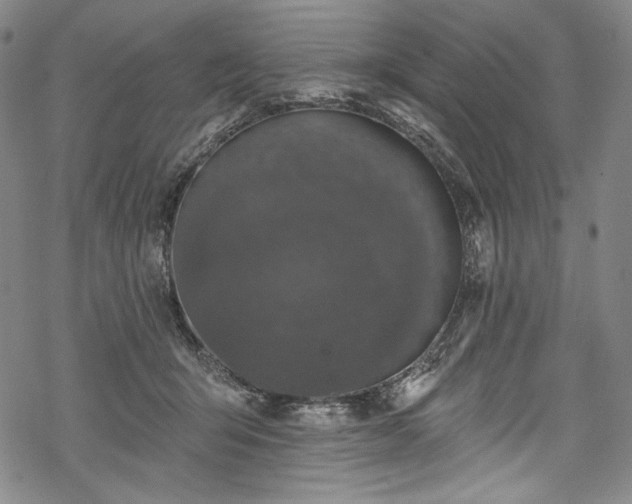 X0000068740415200605051456