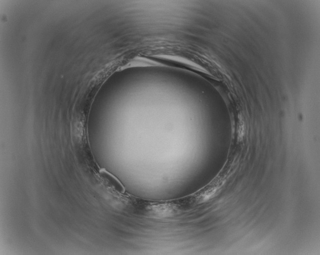 X0000068740417200605051456