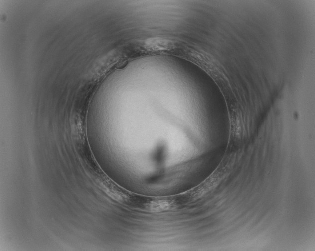 X0000068740418200605051456