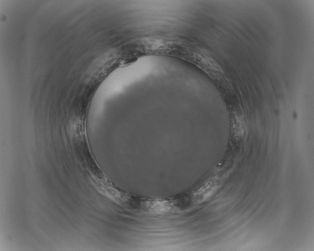 X0000068740419200605051456