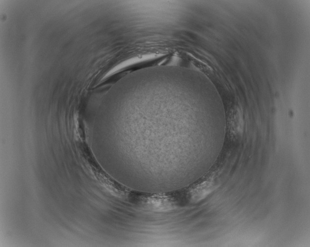 X0000068740420200605051456