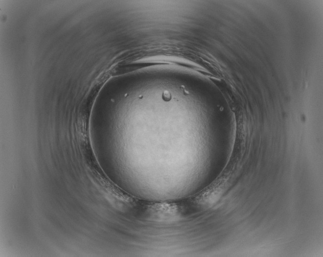 X0000068740421200605051456