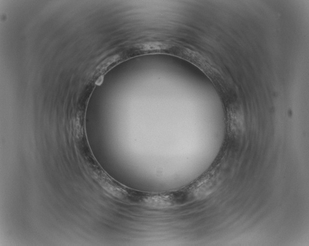 X0000068740422200605051456