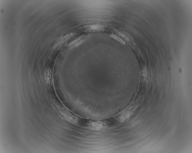 X0000068740423200605051456