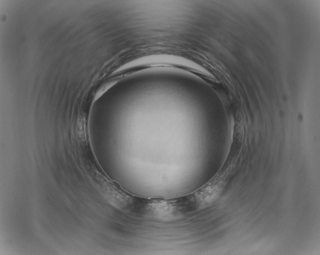 X0000068740425200605051456