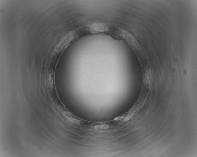 X0000068740426200605051456