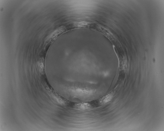 X0000068740427200605051456