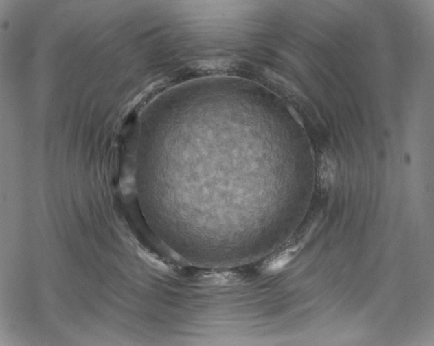 X0000068740428200605051456