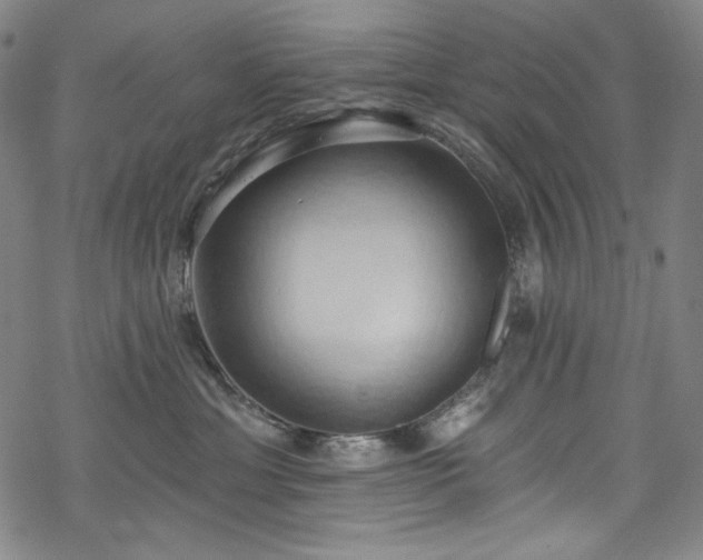 X0000068740429200605051456