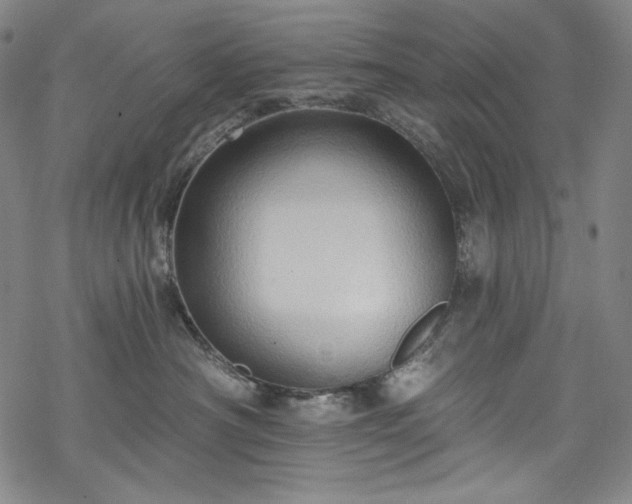 X0000068740430200605051456