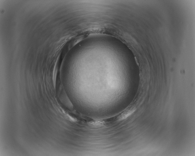 X0000068740432200605051456