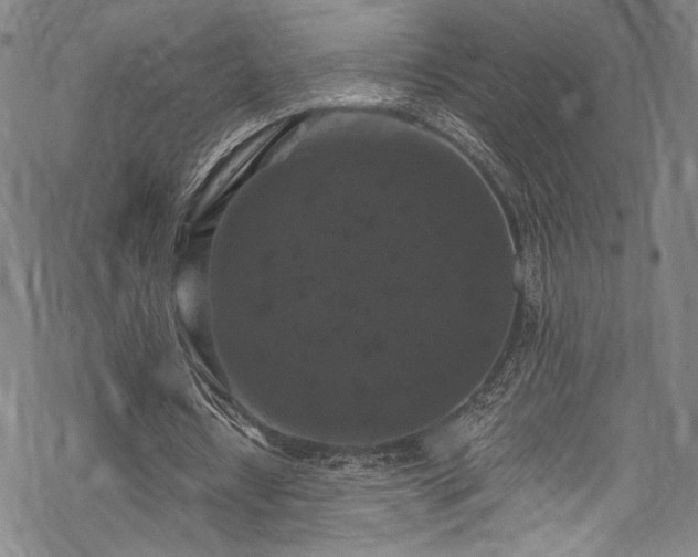 X0000068740434200605051455