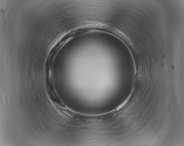 X0000068740436200605051455