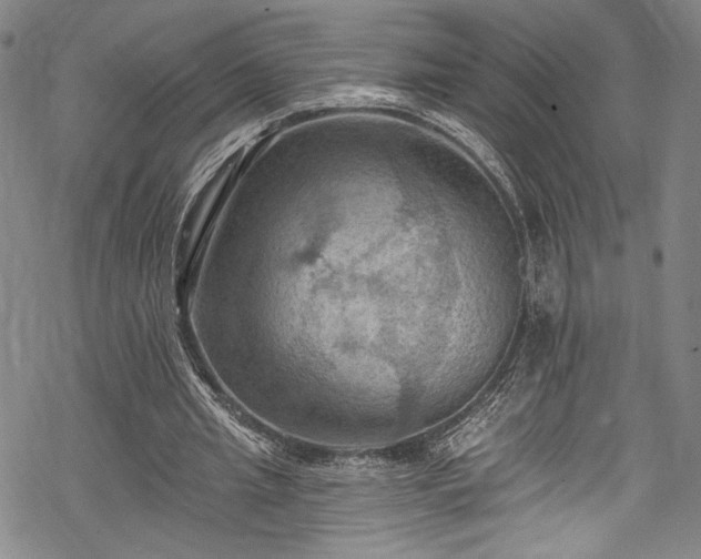 X0000068740437200605051455