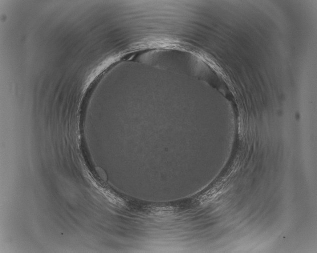 X0000068740438200605051455