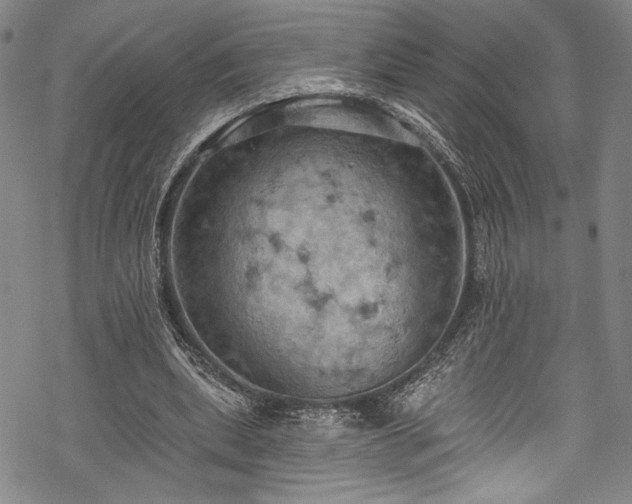 X0000068740439200605051455