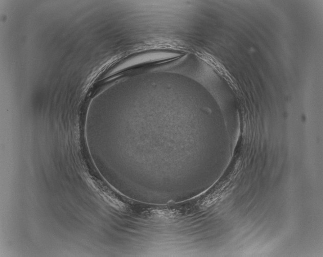 X0000068740442200605051455