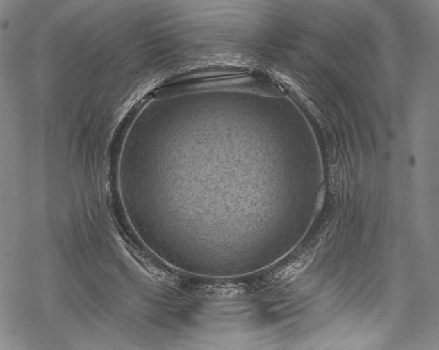 X0000068740443200605051455