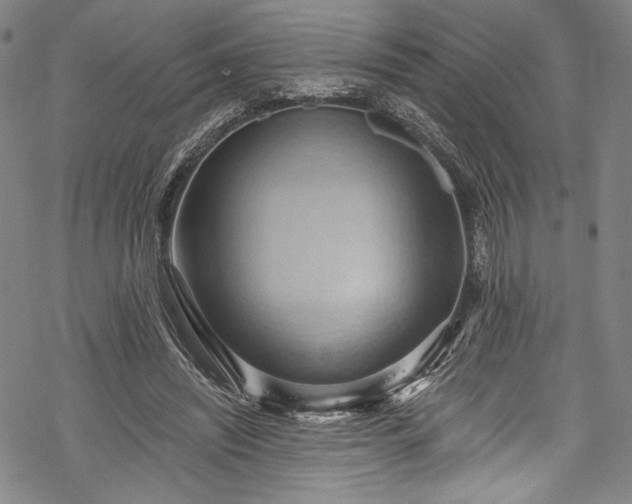 X0000068740444200605051455