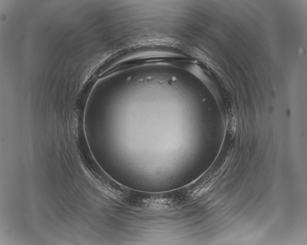 X0000068740448200605051455