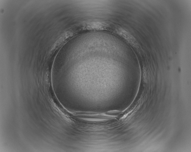 X0000068740449200605051455