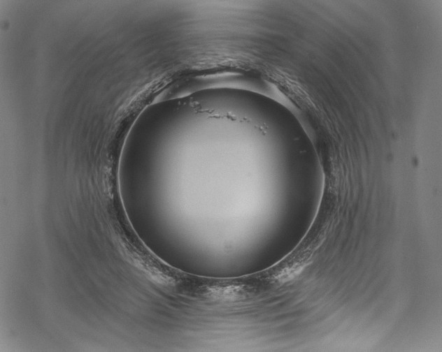 X0000068740450200605051455