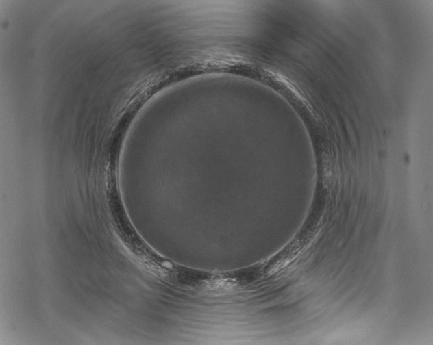 X0000068740451200605051455