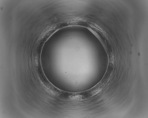 X0000068740452200605051455