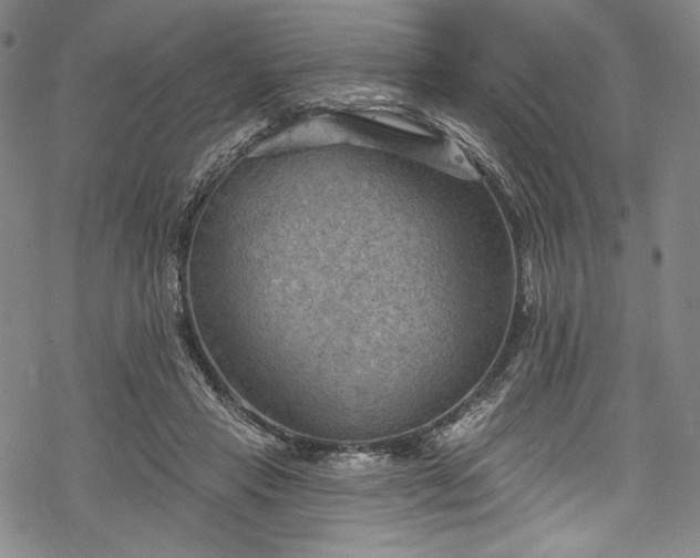 X0000068740453200605051455