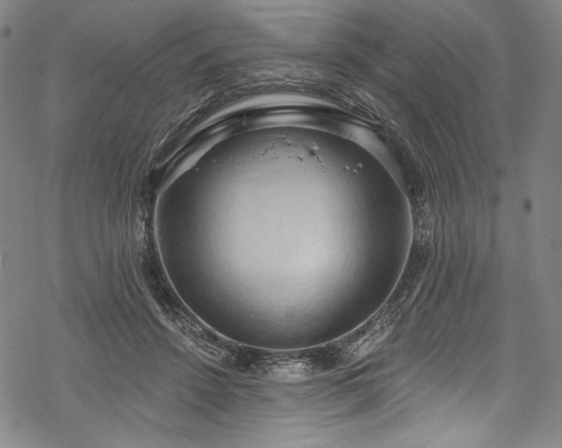 X0000068740456200605051455