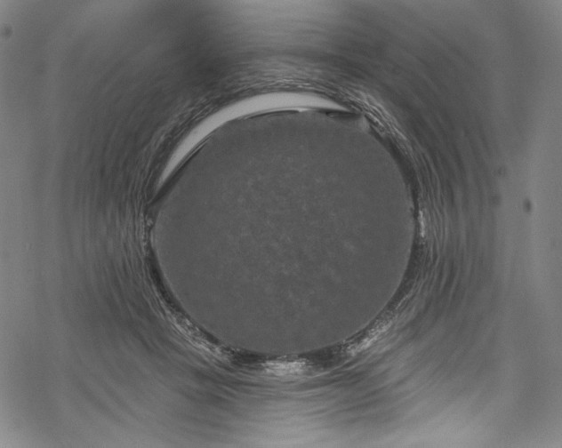 X0000068740457200605051455