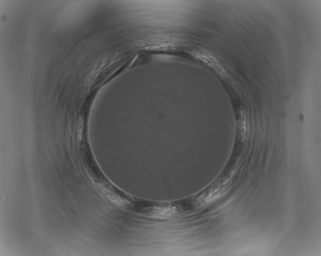 X0000068740458200605051455