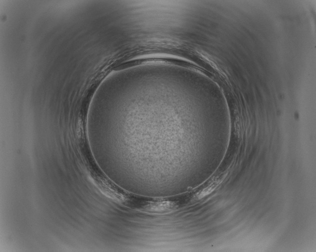 X0000068740459200605051455