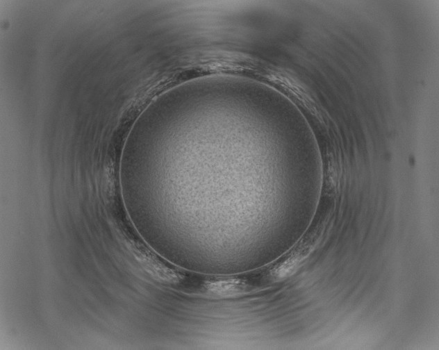 X0000068740461200605051455