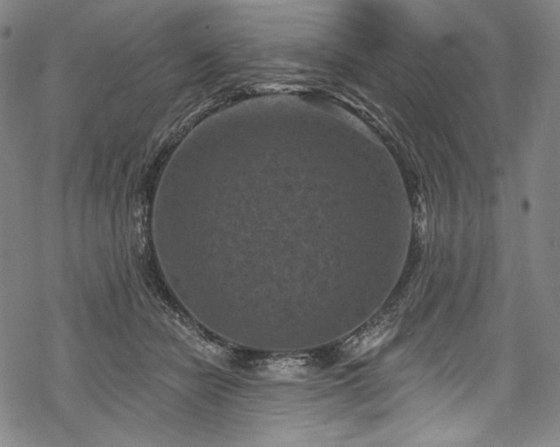 X0000068740462200605051455