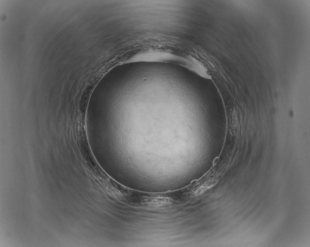 X0000068740463200605051455